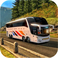 ŷޢ۰ʿԽҰʻģ(Euro Coach Bus Driving) V2.4 ׿ ׿